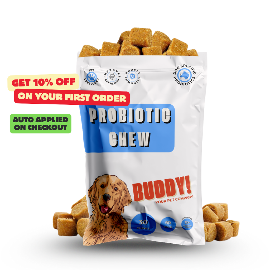 Digestive Probiotic Chews