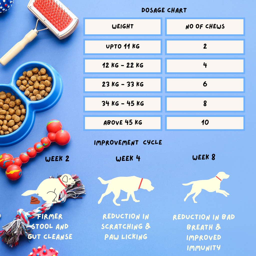 Probiotic Chews 30 Chews 60g