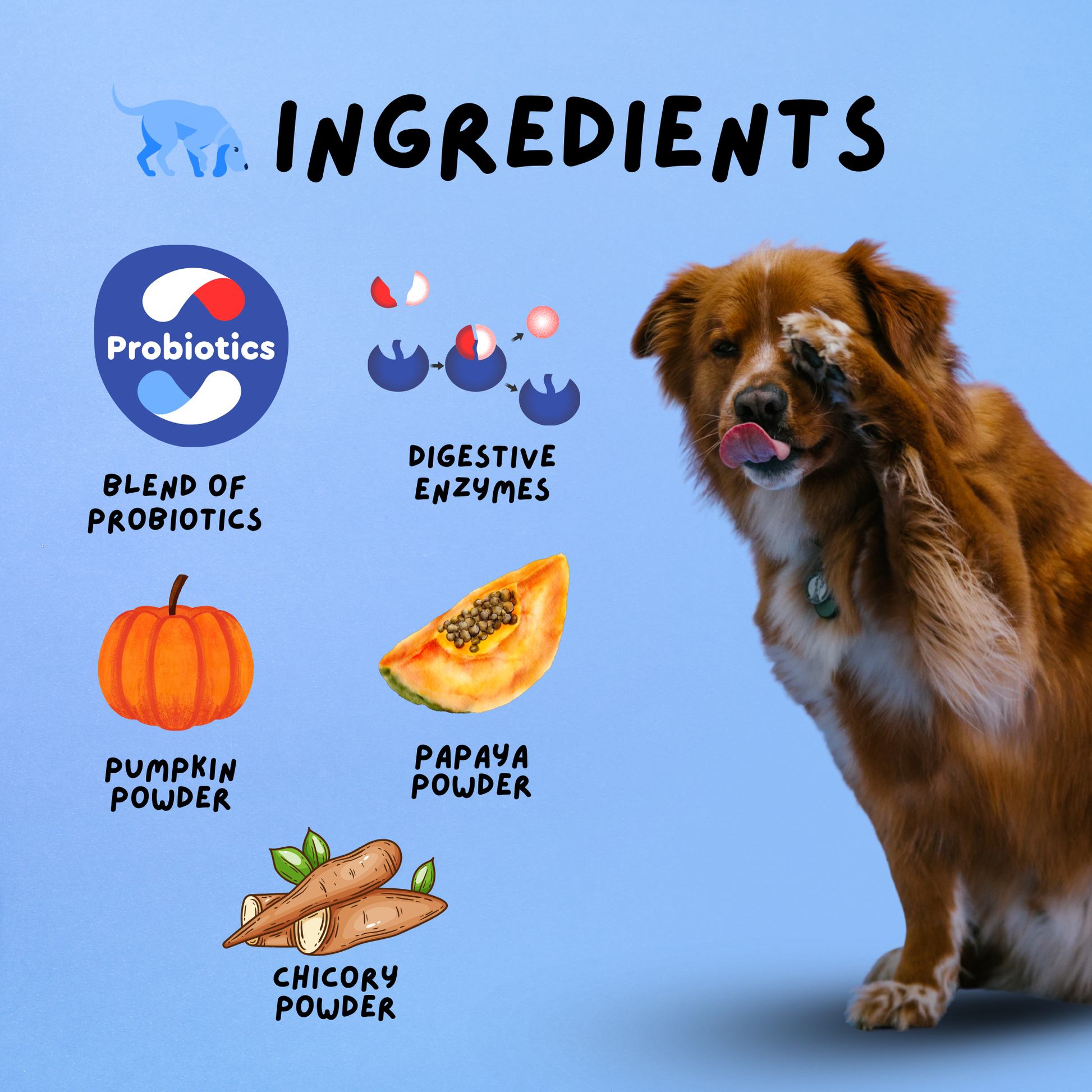 Probiotic Chews 30 Chews 60g