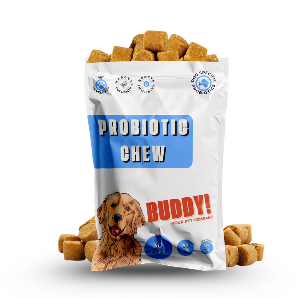 Digestive Probiotic Chews